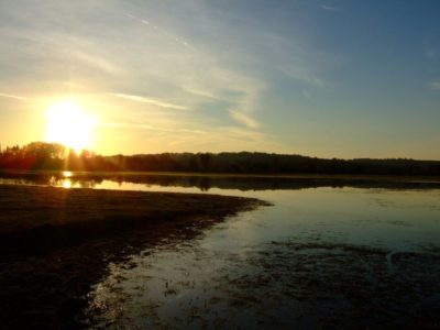 By OxOx https://commons.wikimedia.org/wiki/File:Port_Meadow_sunset.jpg