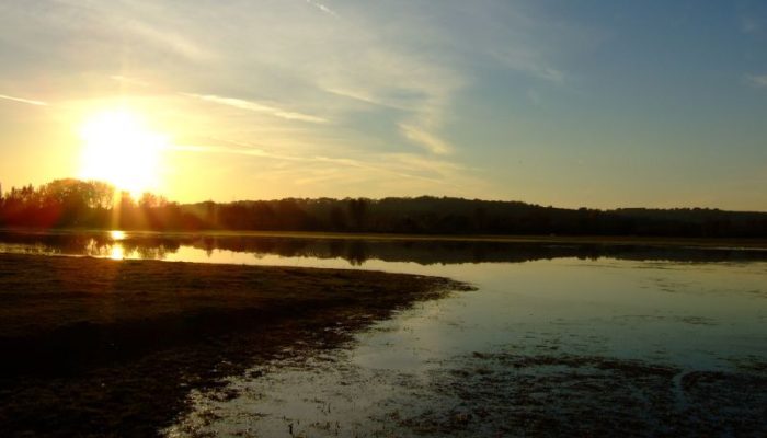 By OxOx https://commons.wikimedia.org/wiki/File:Port_Meadow_sunset.jpg